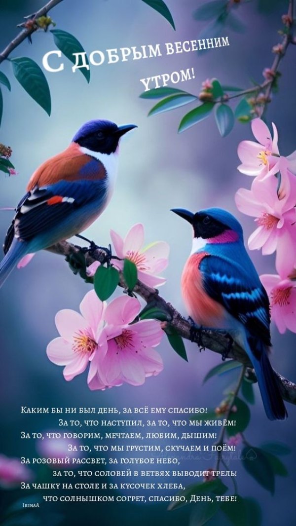 Изображение №20 564x1002 из коллекции «Открытки «С добрым весенним утром!»»