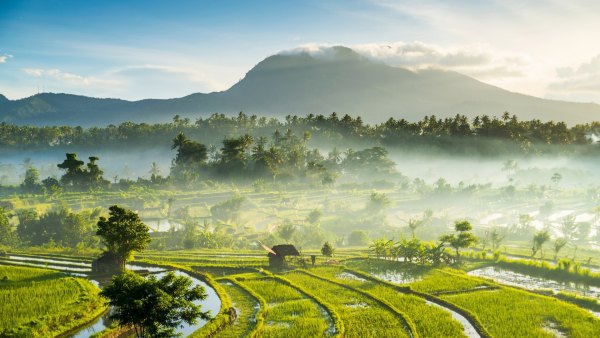 Изображение №13 1920x1080 «Рисовые поля, туман, Бали, Индонезия» из коллекции «Обои Бали»
