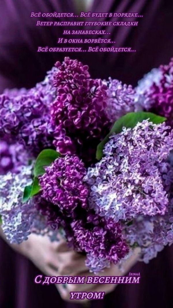 Изображение №53 564x1002 «С добрым весенным утром, сирень» из коллекции «Открытки «С добрым весенним утром!»»