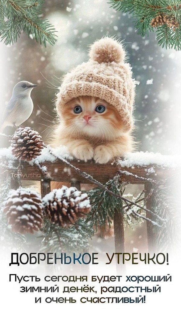 Изображение №50 720x1280 «Добренькое утречко! Рыжий котёнок в шапке и птичка.» из коллекции «Открытки «С добрым зимним утром!» с животными»