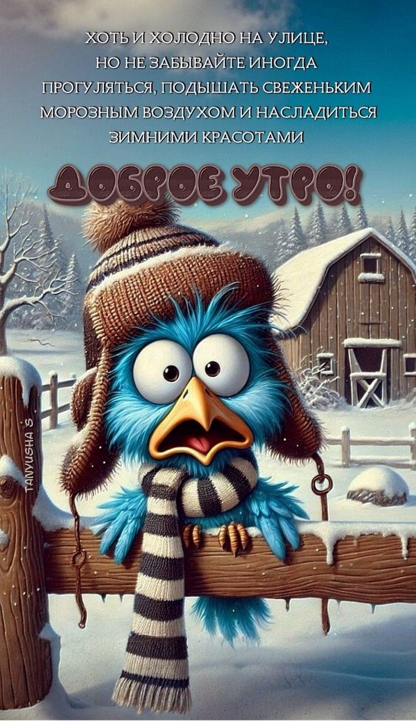 Изображение №72 720x1248 из коллекции «Открытки «С добрым зимним утром!» с животными»