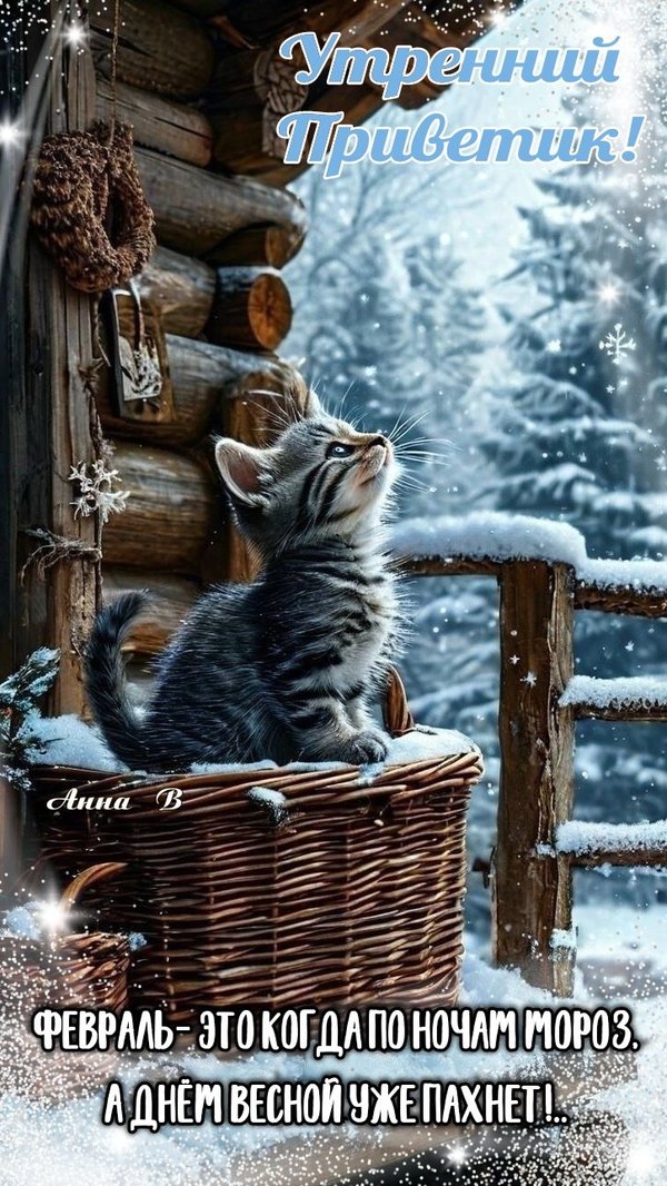 Изображение №35 725x1288 «Утренний приветик! Февраль, Котёнок.» из коллекции «Открытки «С добрым зимним утром!» с животными»
