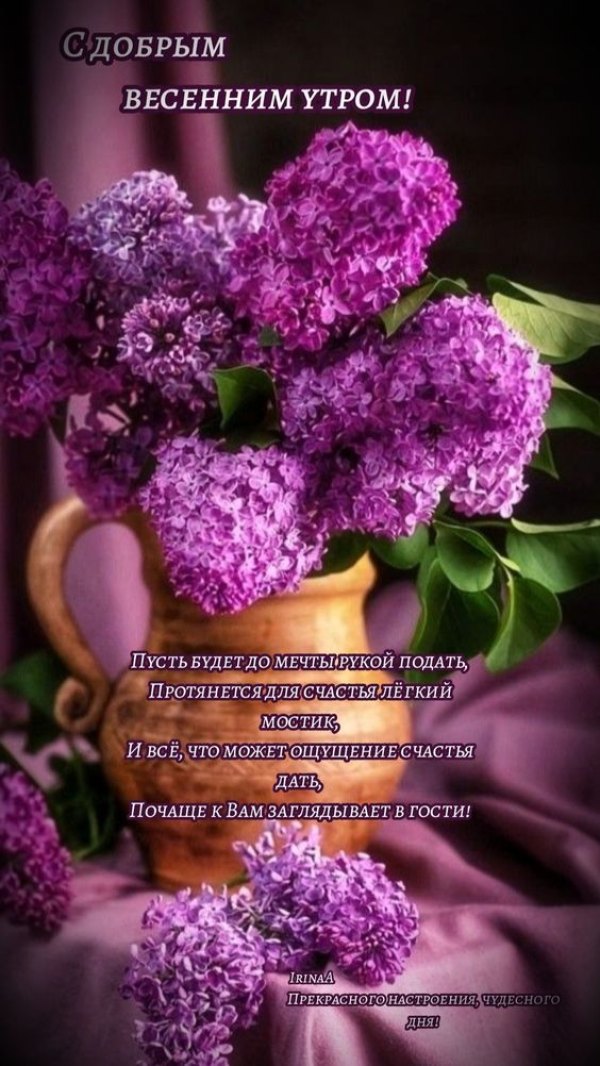 Изображение №58 564x1002 «С добрым весенным утром, сирень в вазе» из коллекции «Открытки «С добрым весенним утром!»»