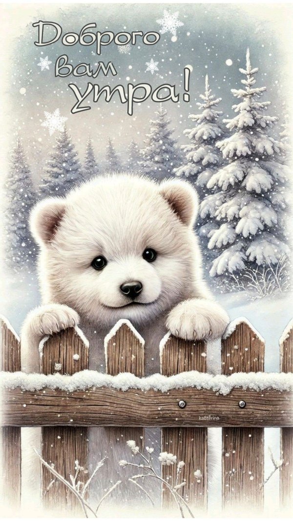 Изображение №70 1200x2133 «Доброго вам утра! Белый медведь.» из коллекции «Открытки «С добрым зимним утром!» с животными»
