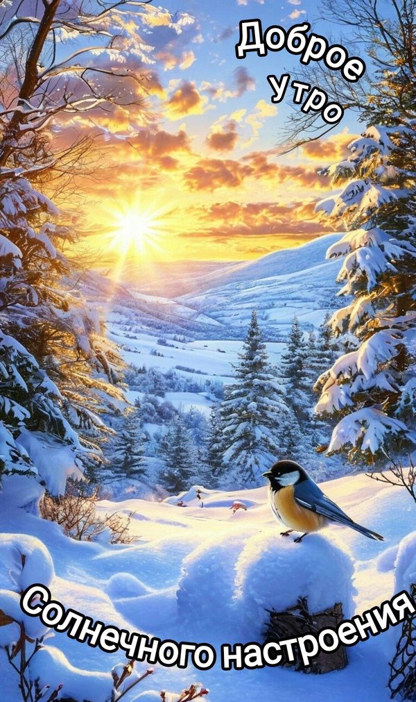 Изображение №34 1096x1846 «Доброе утро! Солнечного настроения! Зимний пейзаж. Синица.» из коллекции «Открытки «С добрым зимним утром!» с животными»