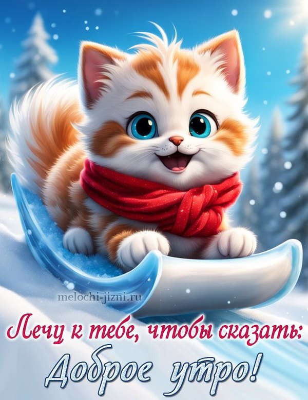 Изображение №64 615x800 «Лечу к тебе, чтобы сказать: Доброе утро!» из коллекции «Открытки «С добрым зимним утром!» с животными»