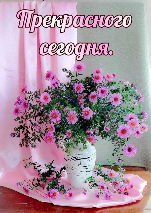 Изображение №35 1135x1600 «Прекрасного сегодня!» из коллекции «Весенние открытки «Хорошего доброго дня!»»