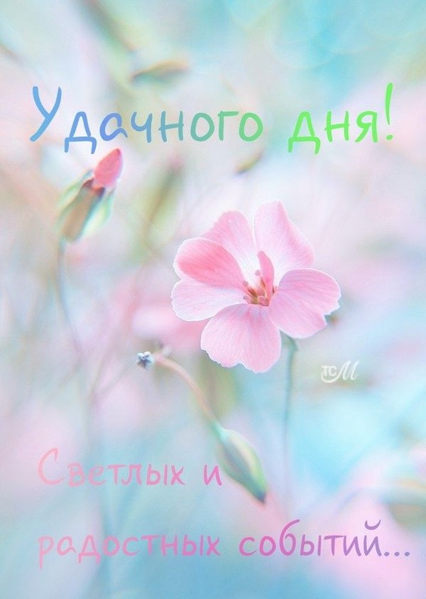 Изображение №61 712x1000 «Удачного дня! Светлых и радостных событий!» из коллекции «Весенние открытки «Хорошего доброго дня!»»