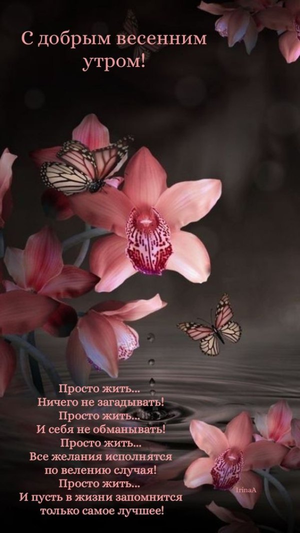 Изображение №66 564x1002 из коллекции «Открытки «С добрым весенним утром!»»