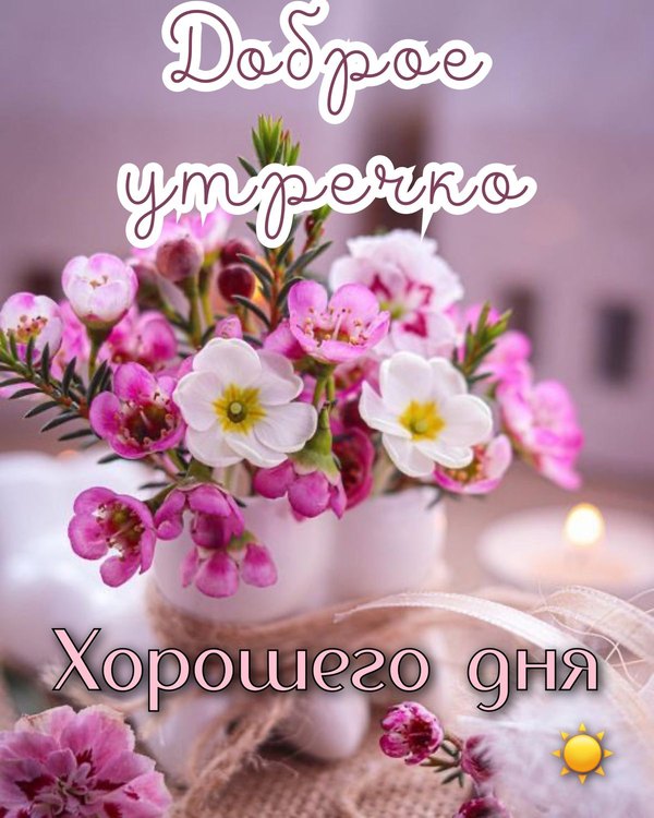 Изображение №42 1200x1500 «Доброе утречко! Хорошего дня!» из коллекции «Весенние открытки «Хорошего доброго дня!»»