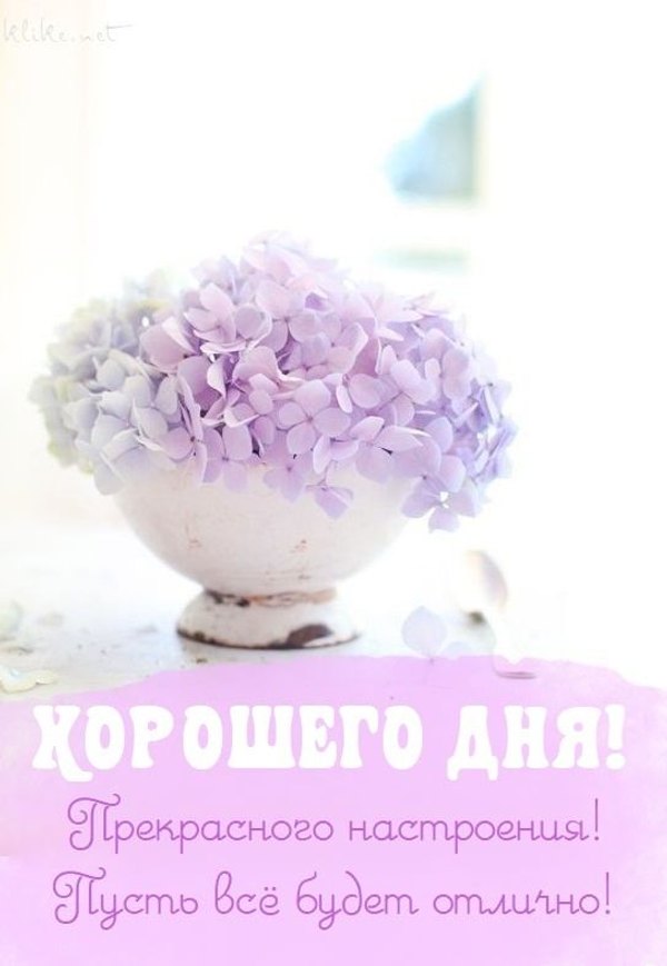 Изображение №65 544x788 «Хорошего дня! Прекрасного настроения! Пусть всё будет отлично!» из коллекции «Весенние открытки «Хорошего доброго дня!»»