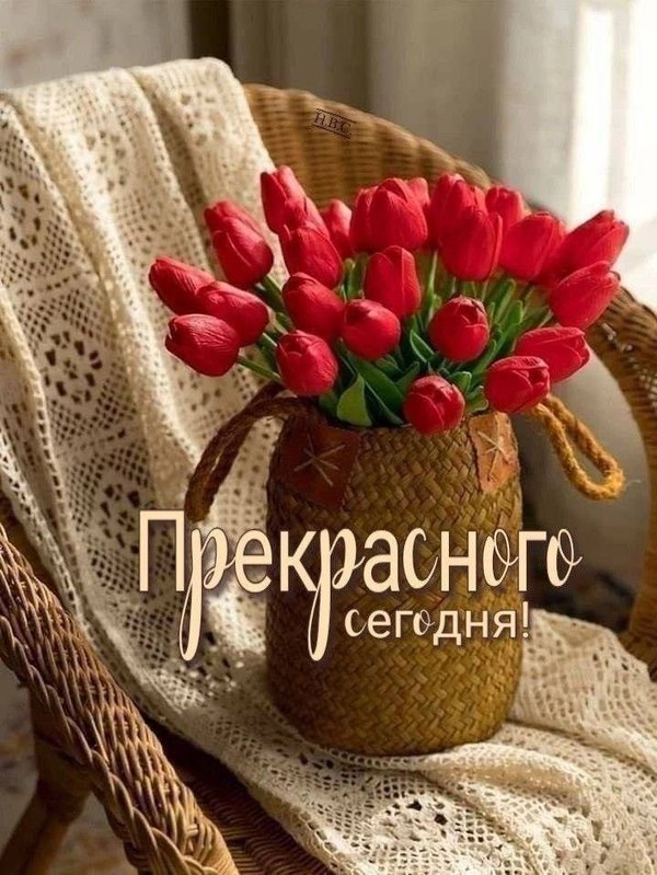 Изображение №38 720x959 «Прекрасного сегодня!» из коллекции «Весенние открытки «Хорошего доброго дня!»»