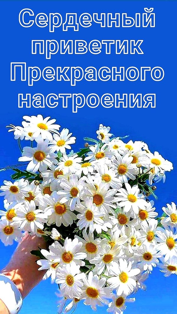 Изображение №53 1080x1918 «Сердечный приветик! Прекрасного настроения!» из коллекции «Весенние открытки «Хорошего доброго дня!»»