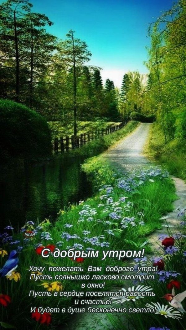 Изображение №16 564x1002 «С добрым весенным утром, зеленая природа» из коллекции «Открытки «С добрым весенним утром!»»