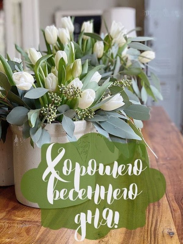 Изображение №54 564x752 «Хорошего весеннего дня!» из коллекции «Весенние открытки «Хорошего доброго дня!»»