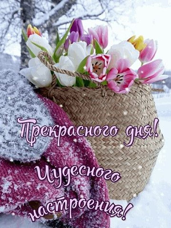 Изображение №68 360x480 «Прекрасного дня! Чудесного настроения!» из коллекции «Весенние открытки «Хорошего доброго дня!»»