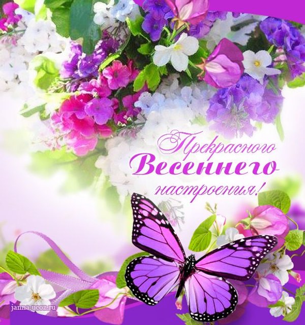 Изображение №69 580x620 «Прекрасного весеннего настроения!» из коллекции «Весенние открытки «Хорошего доброго дня!»»