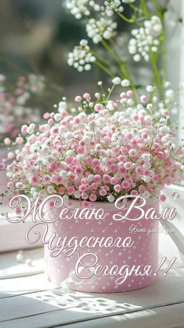 Изображение №10 564x1002 «Желаю вам чудесного сегодня!» из коллекции «Весенние открытки «Хорошего доброго дня!»»