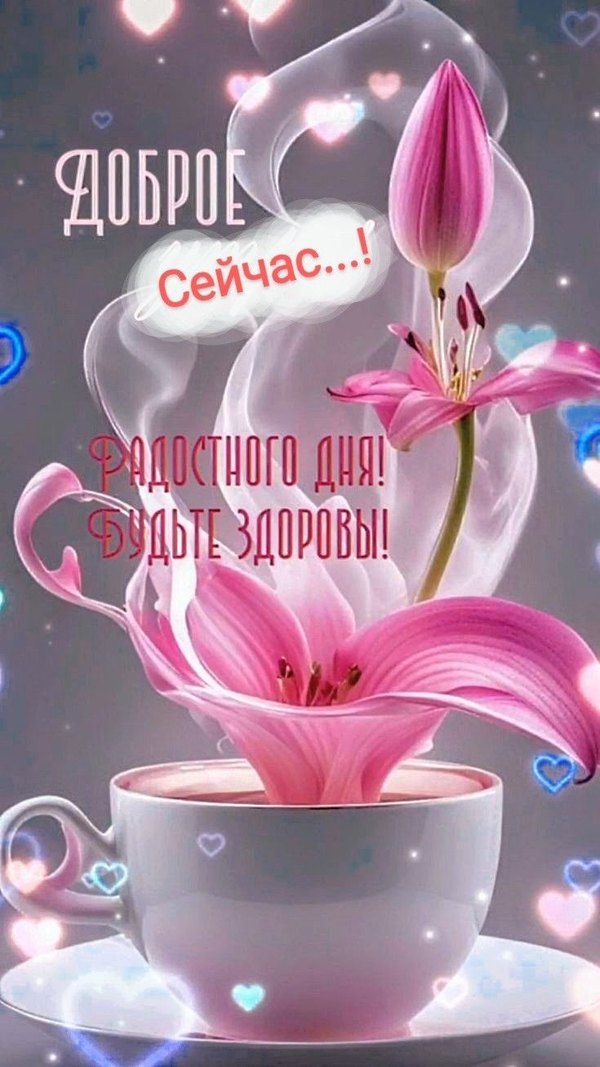 Изображение №11 735x1307 «Доброе сейчас! Радостного дня! Будьте здоровы!» из коллекции «Весенние открытки «Хорошего доброго дня!»»