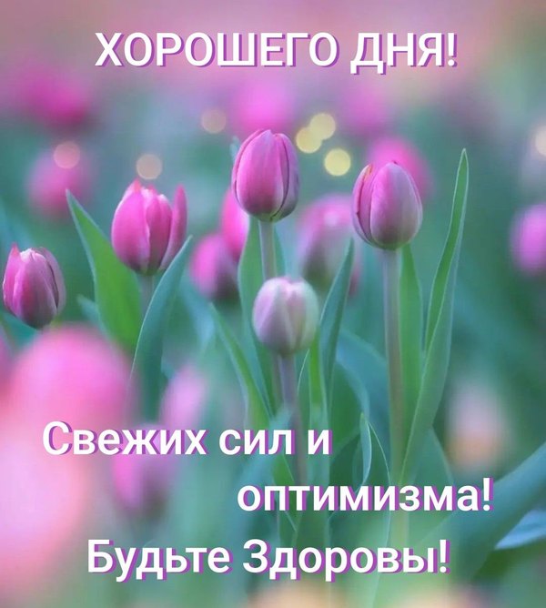 Изображение №15 1080x1202 «Хорошего дня! Свежих сил и оптимизма! Будьте здоровы!» из коллекции «Весенние открытки «Хорошего доброго дня!»»