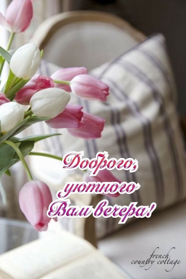 Изображение №40 736x1104 «Доброго уютного вам вечера!» из коллекции «Открытки «Хорошего доброго вечера!»»