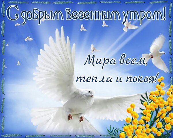 Изображение №13 600x478 «Мира всем, тепла и покоя! С добрым весенним утром!» из коллекции «Открытки «С добрым весенним утром!»»