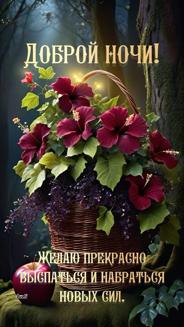 Изображение №8 1080x1920 «Доброй ночи! Желаю крепко выспаться и набраться новых сил!» из коллекции «Открытки «Спокойной доброй ночи!»»