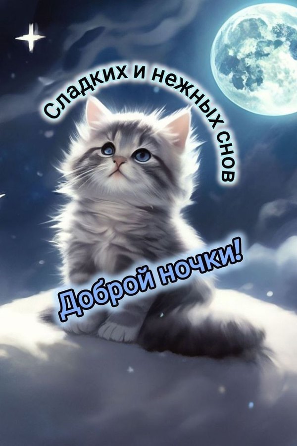 Изображение №6 736x1104 «Сладких и нежных снов! Доброй ночки!» из коллекции «Открытки «Спокойной доброй ночи!»»