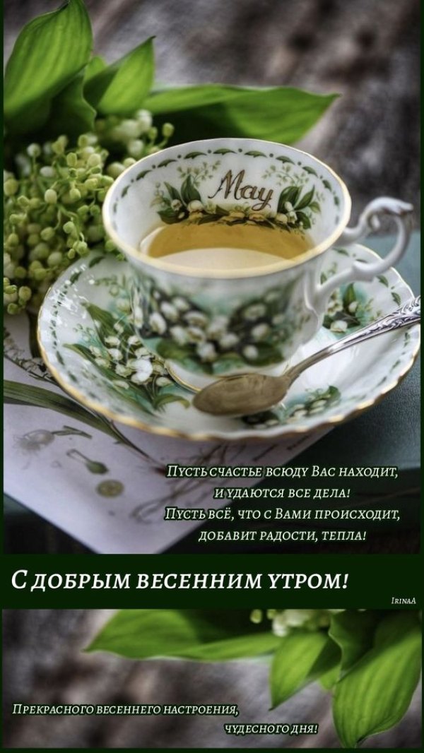 Изображение №35 564x1002 из коллекции «Открытки «С добрым весенним утром!»»