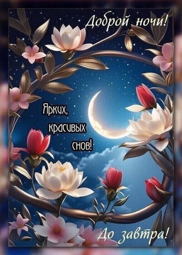 Изображение №30 583x816 «Доброй ночи! Ярких, красивых снов! До завтра!» из коллекции «Весенние открытки «Спокойной доброй ночи!»»