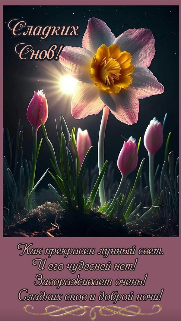 Изображение №5 1075x1910 «Сладких снов!» из коллекции «Весенние открытки «Спокойной доброй ночи!»»