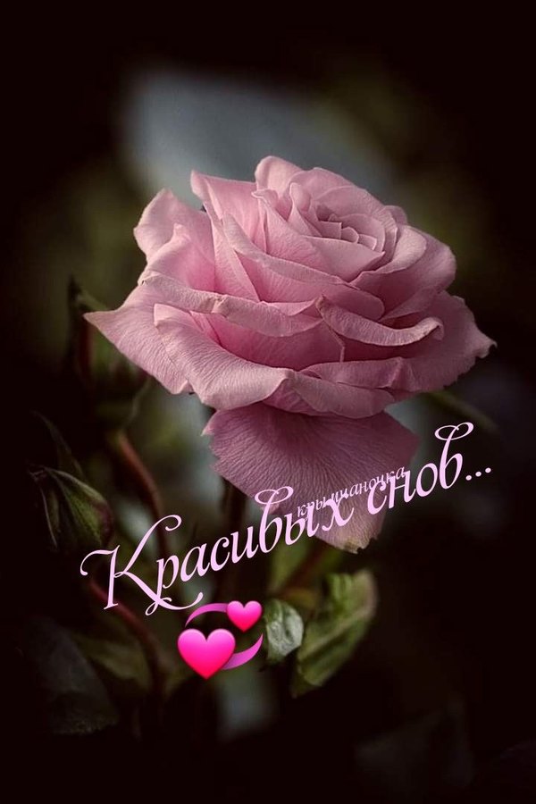 Изображение №22 720x1080 «Картинка Красивых снов!» из коллекции «Весенние открытки «Спокойной доброй ночи!»»