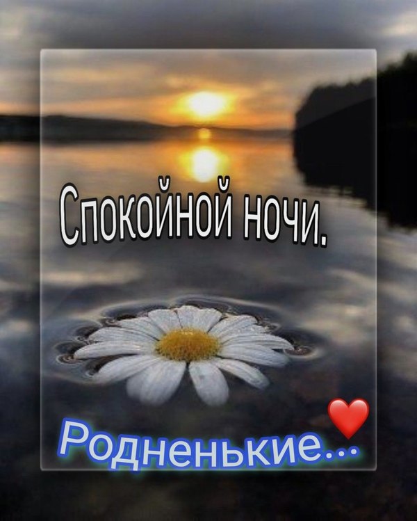 Изображение №57 1080x1349 «Спокойной ночи, родненькие!» из коллекции «Весенние открытки «Спокойной доброй ночи!»»