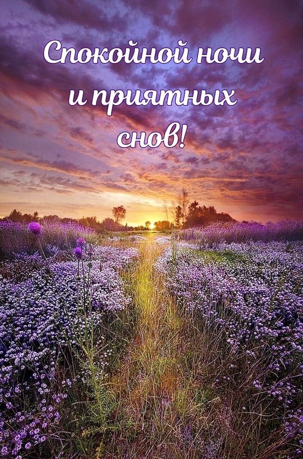 Изображение №40 791x1200 «Спокойной ночи и приятных снов!» из коллекции «Весенние открытки «Спокойной доброй ночи!»»