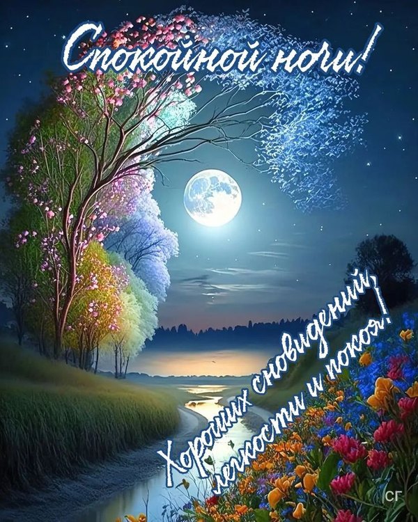 Изображение №23 736x920 «Спокойной ночи! Хороших сновидений, легкости и покоя!» из коллекции «Весенние открытки «Спокойной доброй ночи!»»