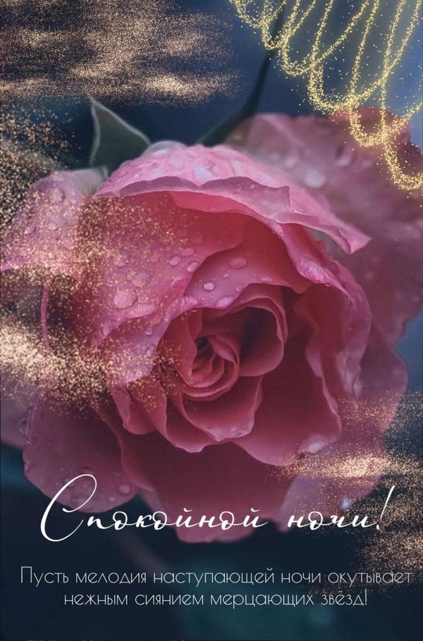 Изображение №42 791x1200 из коллекции «Весенние открытки «Спокойной доброй ночи!»»