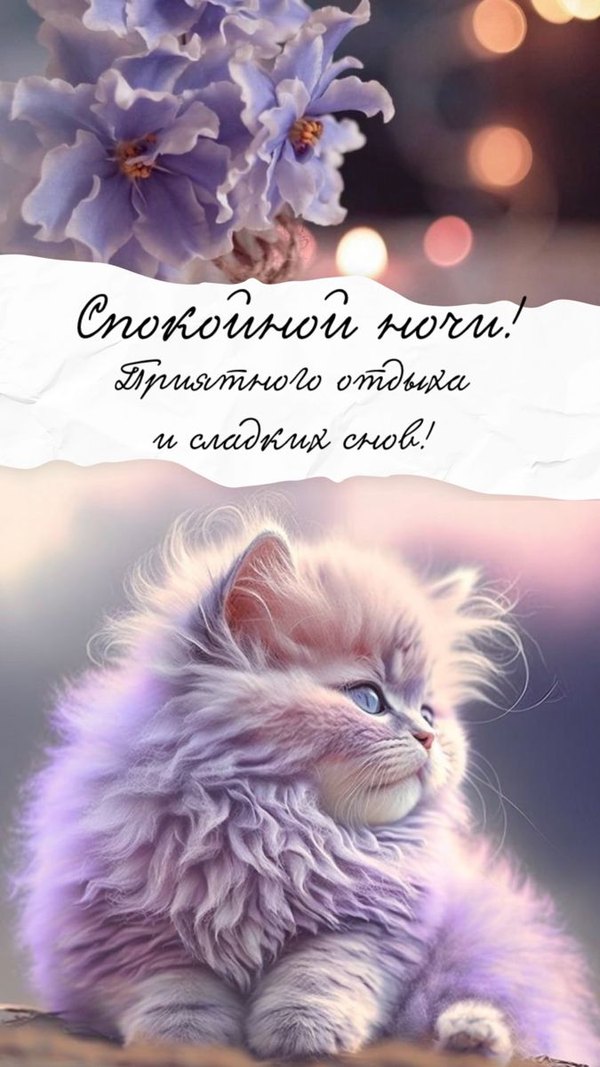 Изображение №4 675x1200 «Спокойной ночи! Приятного отдыха и сладких снов!» из коллекции «Весенние открытки «Спокойной доброй ночи!»»