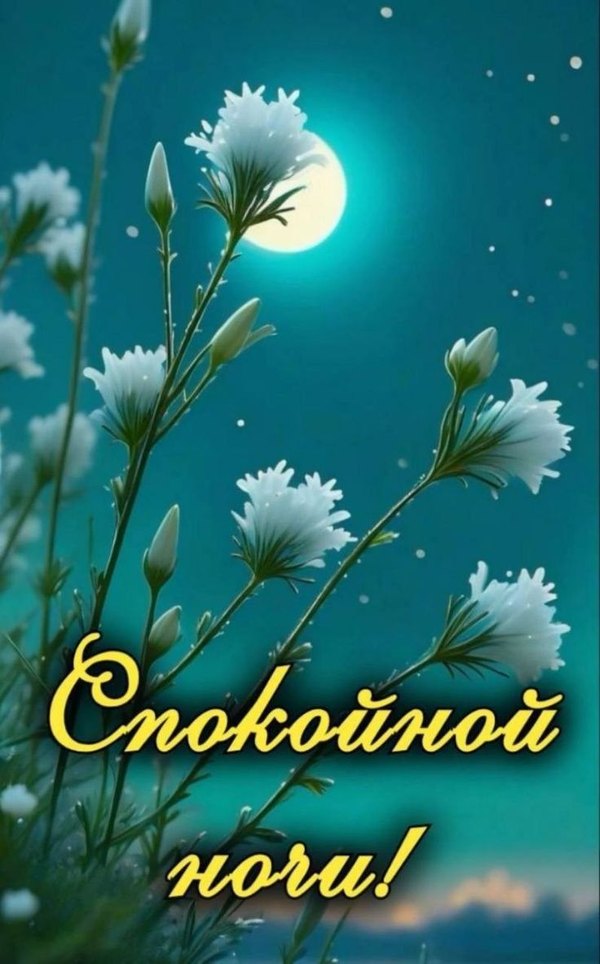 Изображение №18 736x1182 из коллекции «Весенние открытки «Спокойной доброй ночи!»»