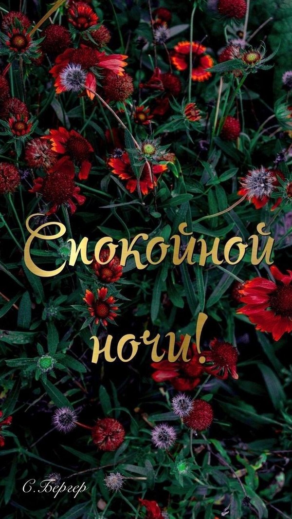 Изображение №44 736x1308 из коллекции «Весенние открытки «Спокойной доброй ночи!»»