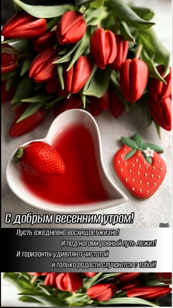 Изображение №61 564x1002 «С добрым весенным утром, красные тюльпаны» из коллекции «Открытки «С добрым весенним утром!»»