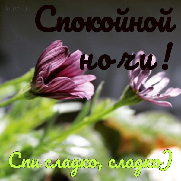 Изображение №55 600x600 «Спокойной ночи! Спи сладко сладко :)» из коллекции «Весенние открытки «Спокойной доброй ночи!»»