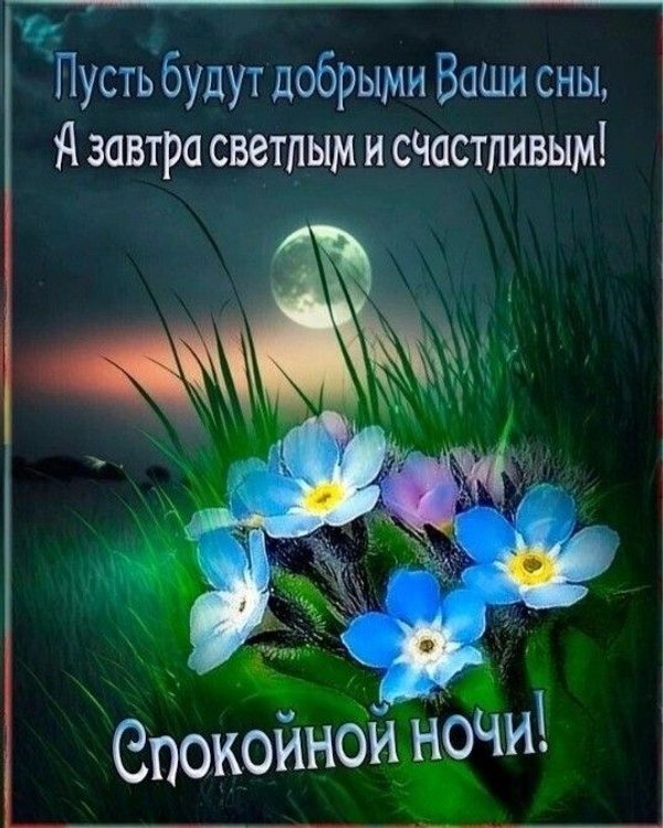 Изображение №13 539x674 из коллекции «Весенние открытки «Спокойной доброй ночи!»»