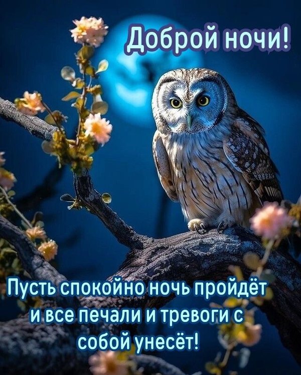 Изображение №35 640x799 из коллекции «Весенние открытки «Спокойной доброй ночи!»»