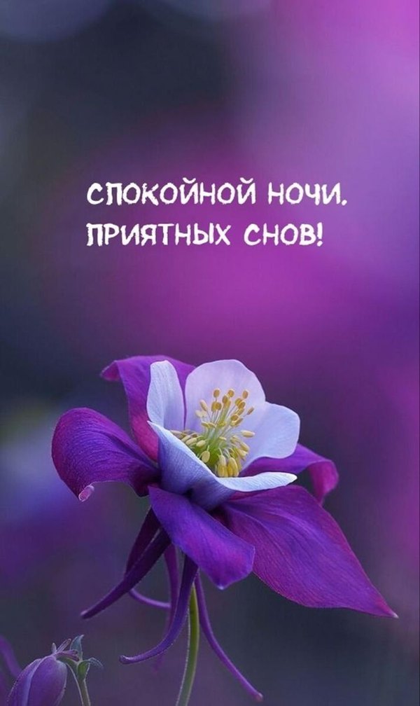 Изображение №21 714x1200 «Спокойной ночи. Приятных снов!» из коллекции «Весенние открытки «Спокойной доброй ночи!»»