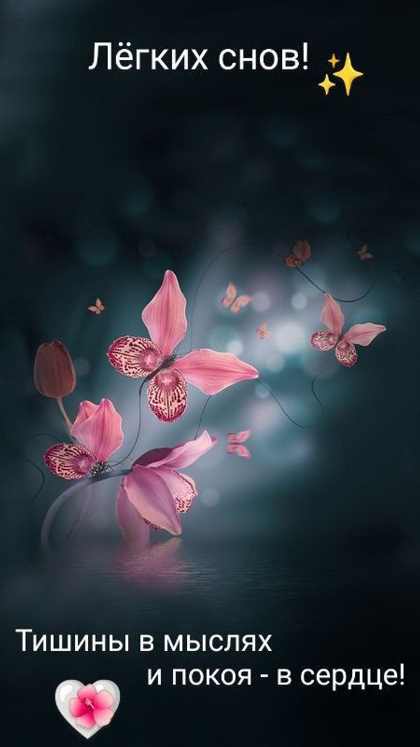 Изображение №10 450x800 «Лёгких снов! Тишины в мыслях и покоя в сердце!» из коллекции «Весенние открытки «Спокойной доброй ночи!»»