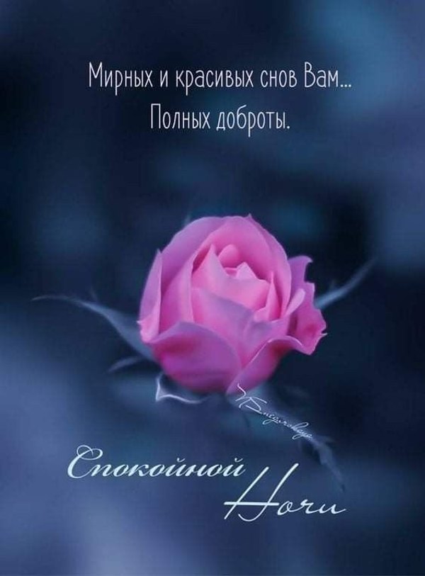 Изображение №7 564x764 «Мирных и красивых снов вам... полных доброты!» из коллекции «Весенние открытки «Спокойной доброй ночи!»»