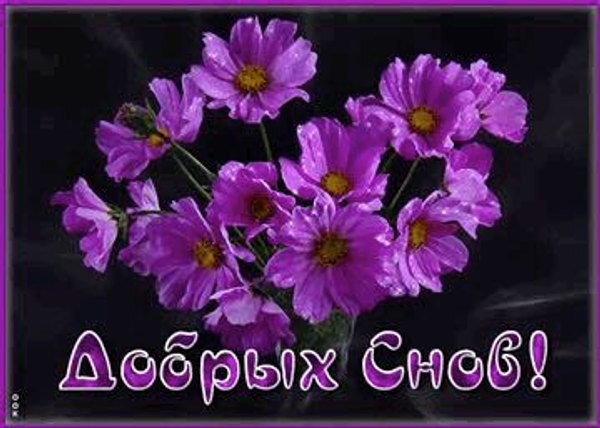 Изображение №54 360x257 «Весенняя картинка Добрых снов!» из коллекции «Весенние открытки «Спокойной доброй ночи!»»