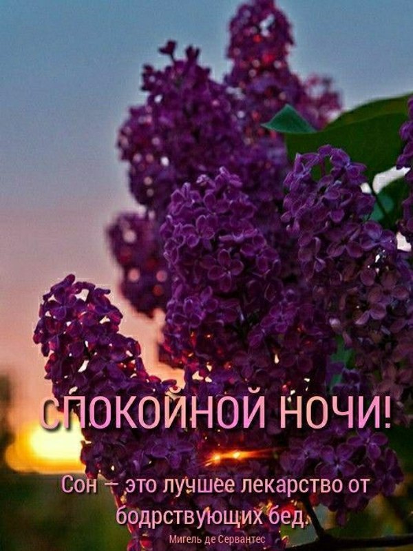 Изображение №43 524x699 из коллекции «Весенние открытки «Спокойной доброй ночи!»»