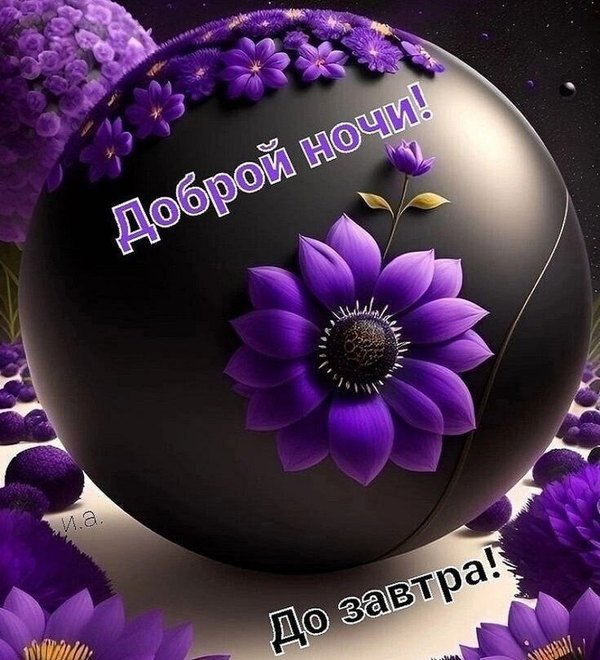 Изображение №38 735x809 «Доброй ночи! До завтра!» из коллекции «Весенние открытки «Спокойной доброй ночи!»»