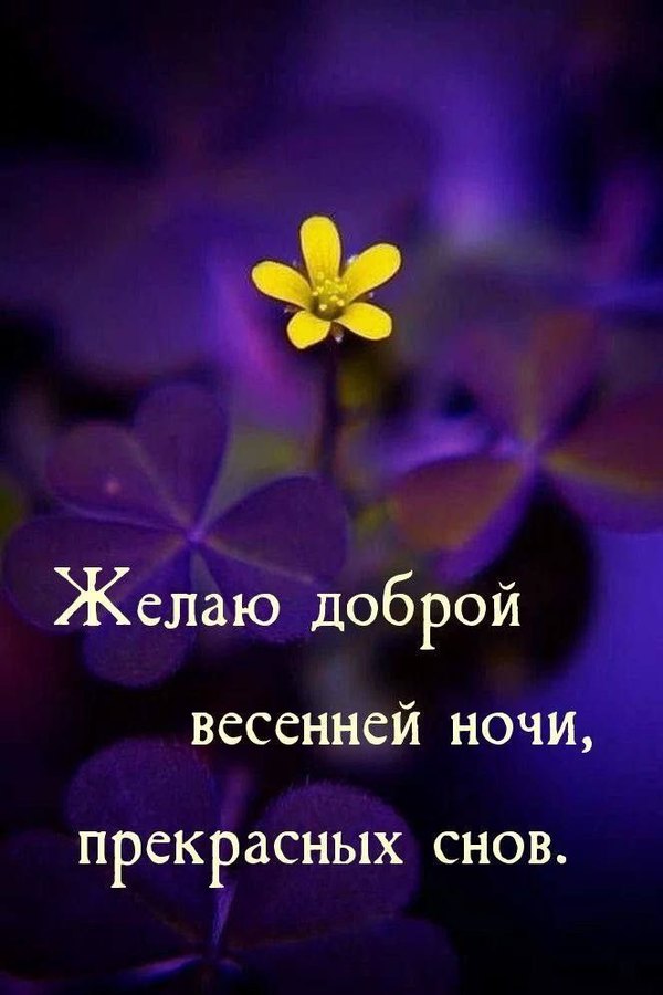 Изображение №37 663x994 «Желаю доброй весенней ночи, прекрасных снов!» из коллекции «Весенние открытки «Спокойной доброй ночи!»»